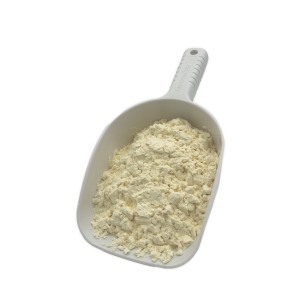 Albumin Pulver 1 kg