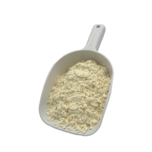 Albumin Pulver 1 kg