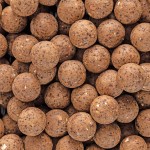 Futterboilies Squid 20 mm 3 kg